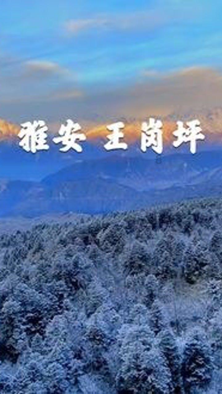水上飞行器是谁发明的？游戏画面