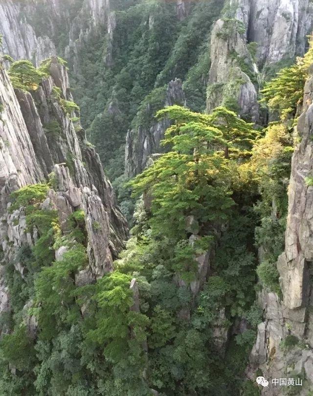 宜吃维生素和矿物质含量丰富食物;古方止痉汤？